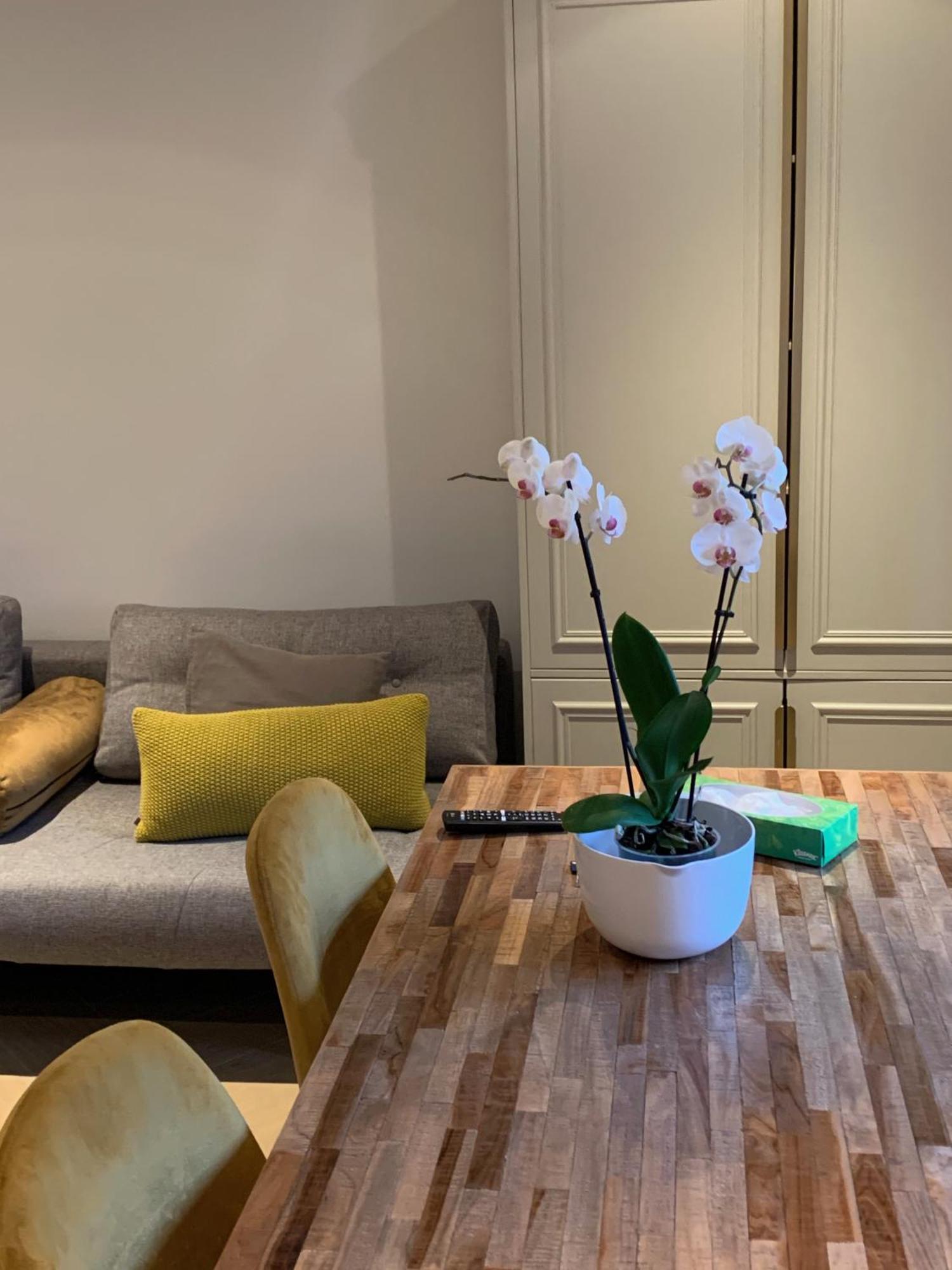Florapark Bed and Breakfast Haarlem Exteriör bild